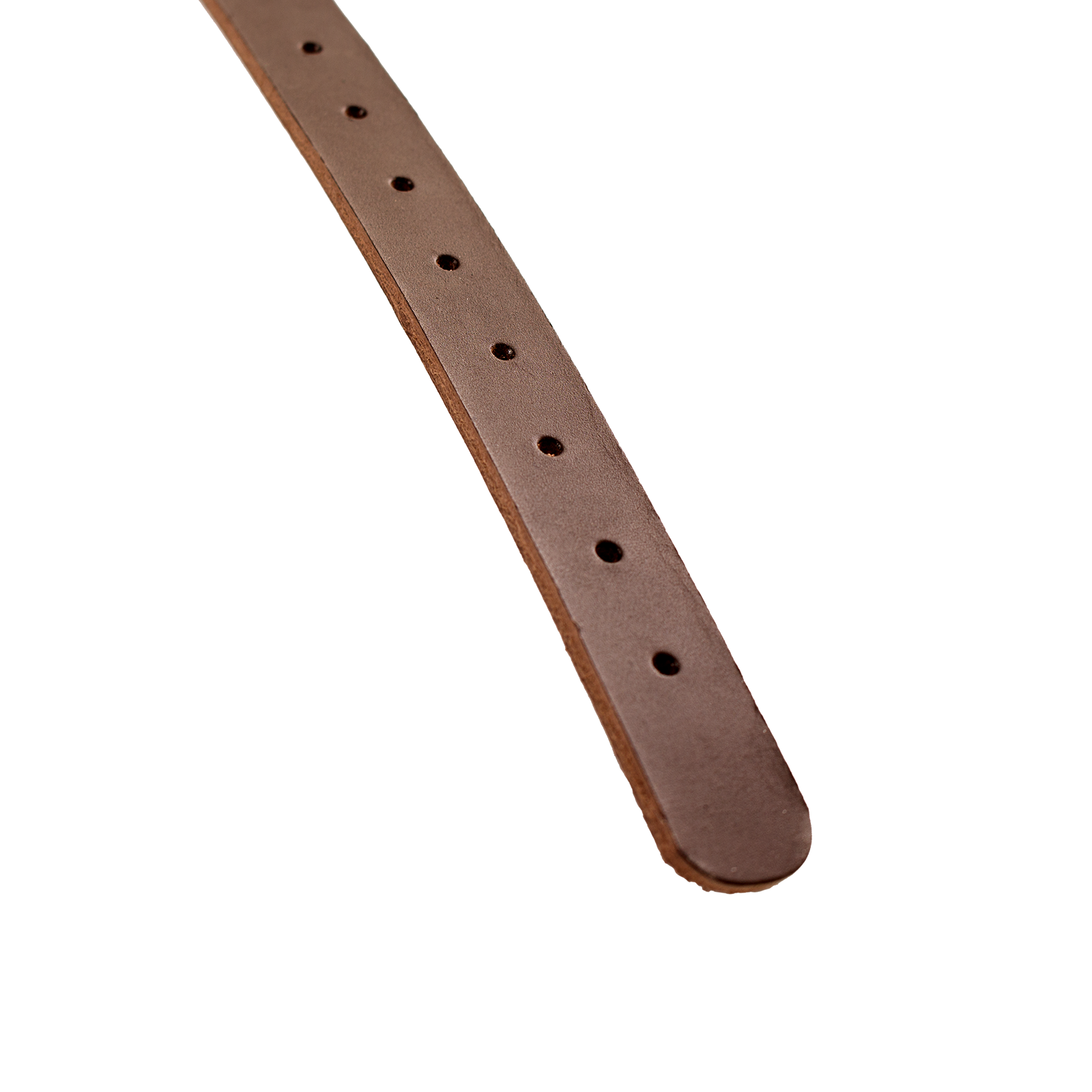 Equipment Strap, 16 mm, Reproduction