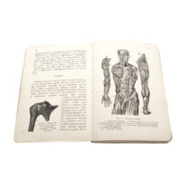 Lotta Svärd Medical Branch Textbook, 1935