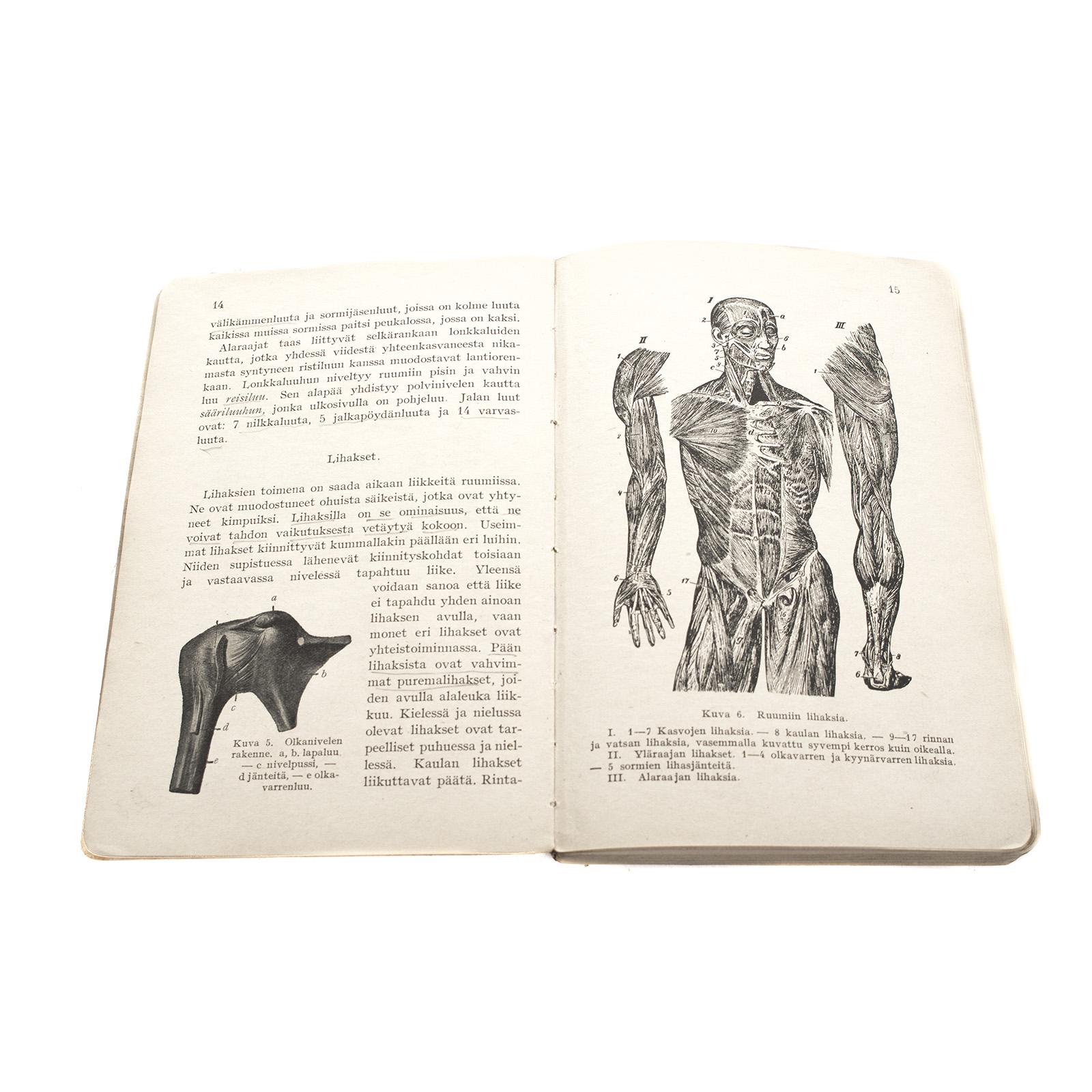 Lotta Svärd Medical Branch Textbook, 1935