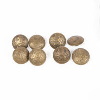 Coat of Arms Button Lot, Brass, Stamped #34